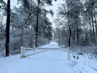 Kindvriendelijk sfeervol vakantiehuis Bosgeneugte bij zwembad op de Veluwe - 5