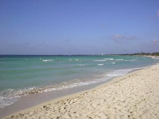 Small Apt on 7 Mile Beach at Negril Beach Club - 6