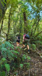 Domo Valle El Encanto Peulla - 8