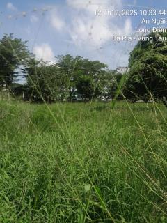 HomeStay Gia Nguyen - 4