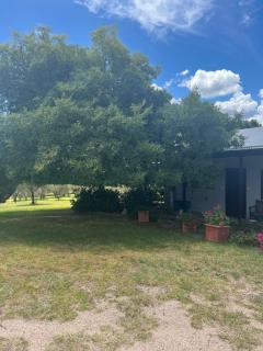 Back Creek Estate Cottage - 9