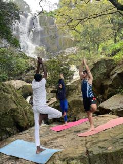 Ella Jungle Rock - Ella - 9