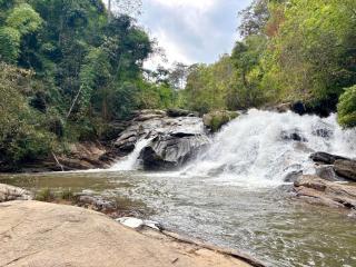 Sunny Jungle Waterfall Retreat - 9