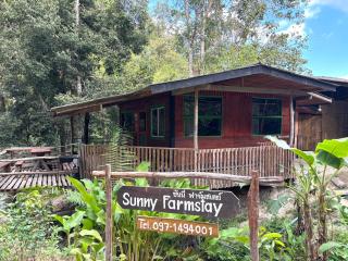 Sunny Jungle Waterfall Retreat - 7