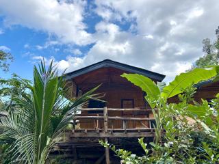 Sunny Jungle Waterfall Retreat - 6