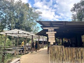 Sunny Jungle Waterfall Retreat - 2