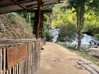 Sunny Jungle Waterfall Retreat - 1