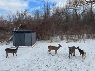 Executive 2BR Lower Suite Private & Spacious Close to USA Border - 9