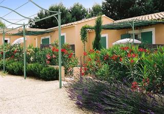 Le Mazet 40 - Saint-Rémy-de-Provence - 7