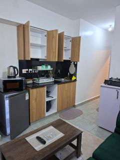 Legatus Cozy Studios 1 Fedha, Embakasi - 8