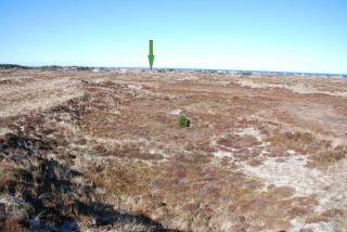 Lovely Summer House On Natural Grounds - Frøstrup - 4