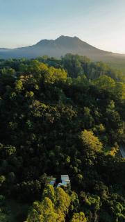 Nirata Treehouse Kintamani - 2