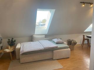 All Homes Apartments - 1