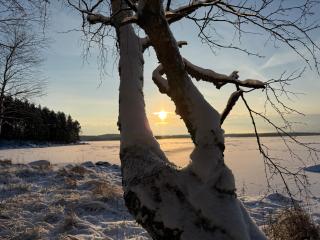 Whispering Pines - 2