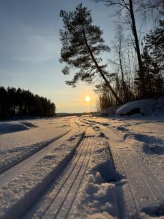 Whispering Pines - 4