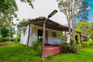 OKA Forest Lodge - 8