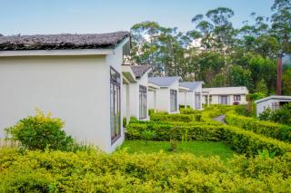 OKA Forest Lodge - 4