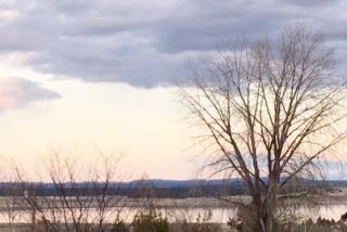 Serenity Retreat - Pine Haven WY - 4