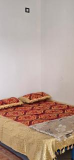 WoodPacker Hostel Pondicherry - 3