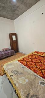 WoodPacker Hostel Pondicherry - 5