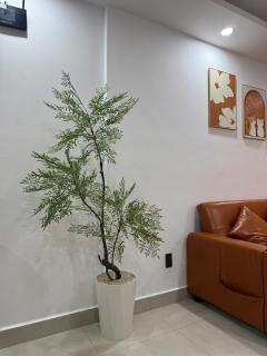 Sophia Center Apartment - The Duke Home - 4