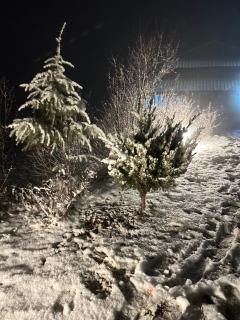 Stargaze with Rio, Glass-Lodge in Thachi Valley - 9