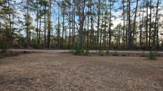 The Pinecone Retreat - Only 1 mile from i95 - 7