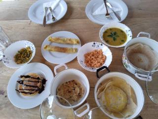 Blue Ocean Tree House Hiriketiya - 9