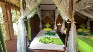 Sigiri Aliya Eco Tree House - 6