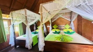 Sigiri Aliya Eco Tree House - 4