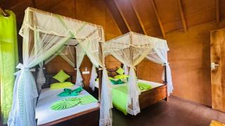 Sigiri Aliya Eco Tree House - 8