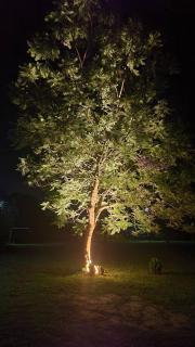 Sagana RiversideRustic Charm nestled along the peaceful banks of Sagana River - 1