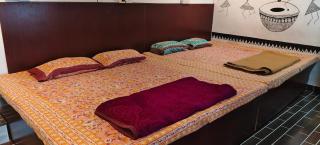 Sea shells by beach - 9