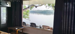 Sea shells by beach - 6