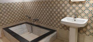 Sea shells by beach - 5