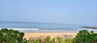 Sea shells by beach - 2