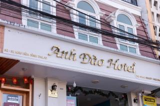 ANH ĐÀO HOTEL - Da Lat - 1