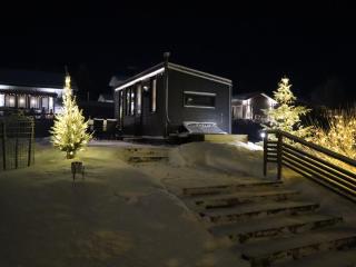 Little Aurora Cabin - 7