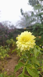 Vidyas Retreat's Rustic Roots - 8