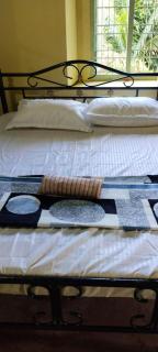 Vidyas Retreat's Rustic Roots - 6