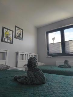 Przewóz Lux Lucky Apartments Garaż w cenie - Krakau - 1