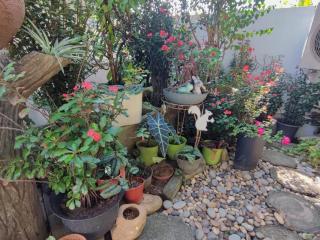 Cozy Home near Airport, & Bayan Lepas Industrial - 8