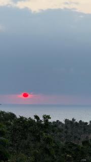 La Tree 普椿農場木子莊園 - 4