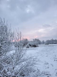 Je B&B Giethoorn, incl fietsen! - 6