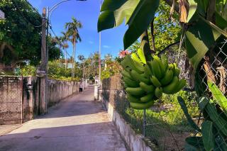 Ecohost Hai Trung - 5