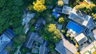 Forest Muse Art Manor Lijiang- Free Pick-up from Airport or HSR for 2 Nights book - 9