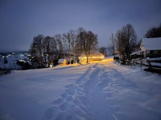 Casa cu copaci Romanian historical farmhouse - 9