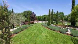 House in the olive grove by Villas Guide - 7