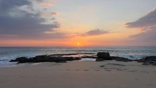 Coconut Beach House - 9