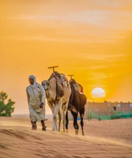 Merzouga desert tent - 9